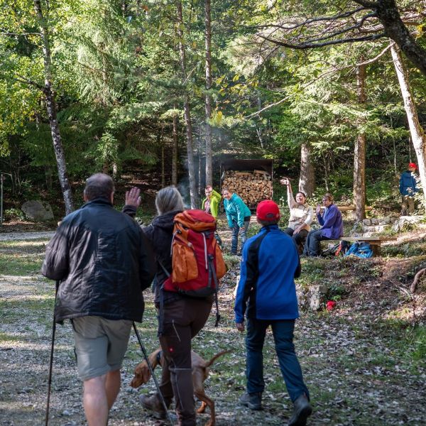 Wanderchräie: Anmeldung bis Sonntag
Am Donnerstag, 15.10.2026, führt die Wanderchräie von Leimbach über den Homberg zurück nach Leimbach.
Start 08.00 Uhr am Bahnhof Egerkingen
Dauer rund 3 Stunden
Anmeldung bis 11.10.2026
https://www.egerkingentourismus.ch/wandern/
#egerkingen #wandern #gaeu #tourismus